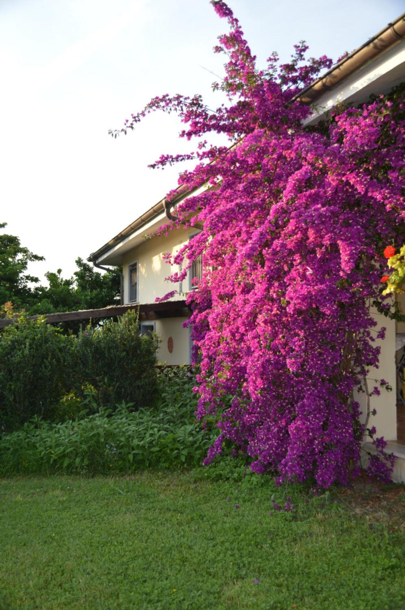 Villa Collebelvedere - Near Rome With Home Restaurant Fara in Sabina Dış mekan fotoğraf